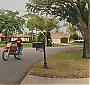 244.jpg