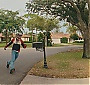 245.jpg