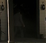 031.jpg