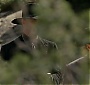 Filename=013.jpg
Filesize=138KiB
Dimensions=1920x1080
Date added=Jun 25, 2017 013.jpg