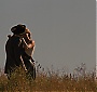 Filename=077.jpg
Filesize=220KiB
Dimensions=1920x1080
Date added=Aug 24, 2018 077.jpg